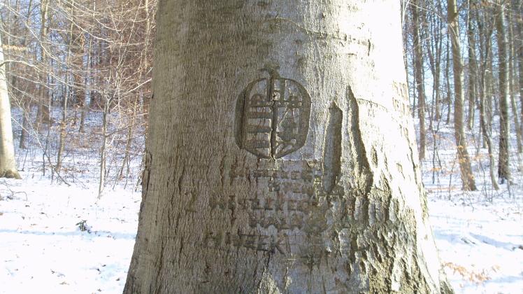 Det ungarske træ monument