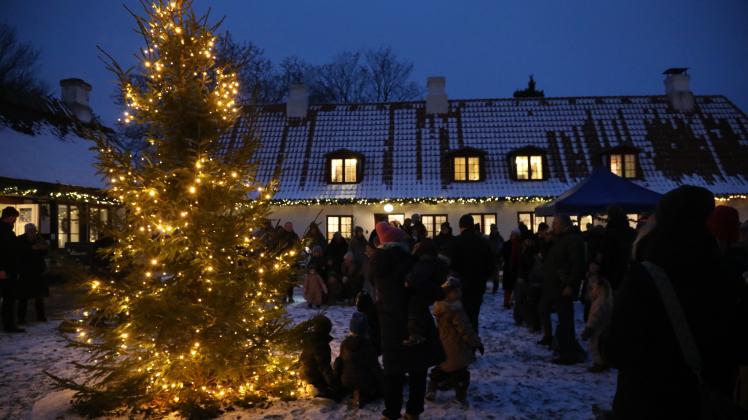 Juletræ på Mothsgården.