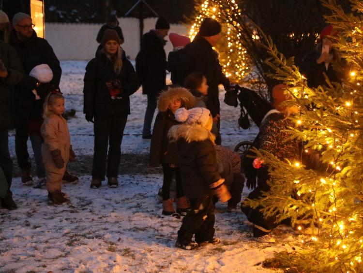 Mothsgården juletræstænding