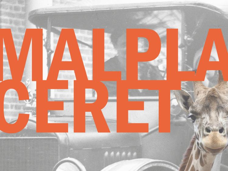 udstillingsplakat med titel og giraf