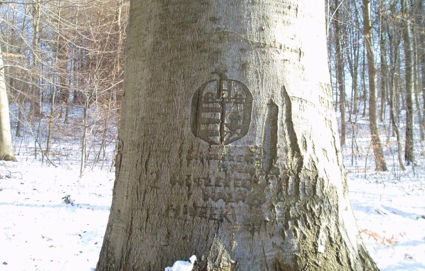 Det ungarske træ monument